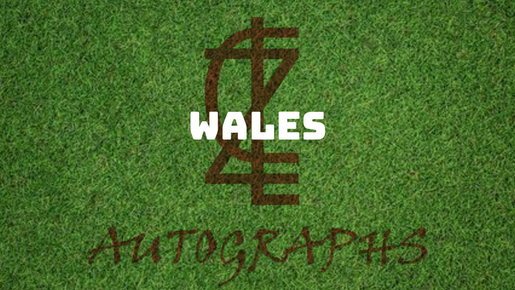 ZCL Autographs Football - Wales