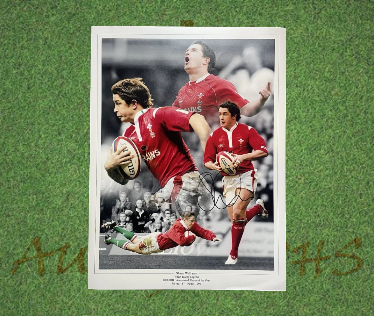 Shane Williams Signed Wales Rugby 16x12 Photo