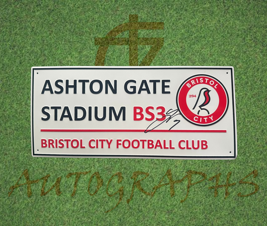 Yu Hirakawa Signed Bristol City Street Sign 平河悠