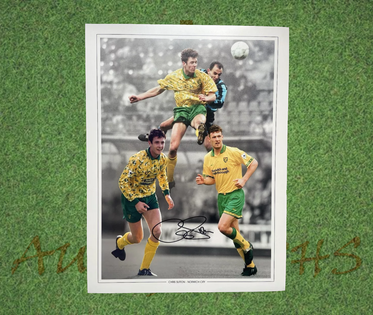 Chris Sutton Signed 16x12 Norwich City Football Club Photo