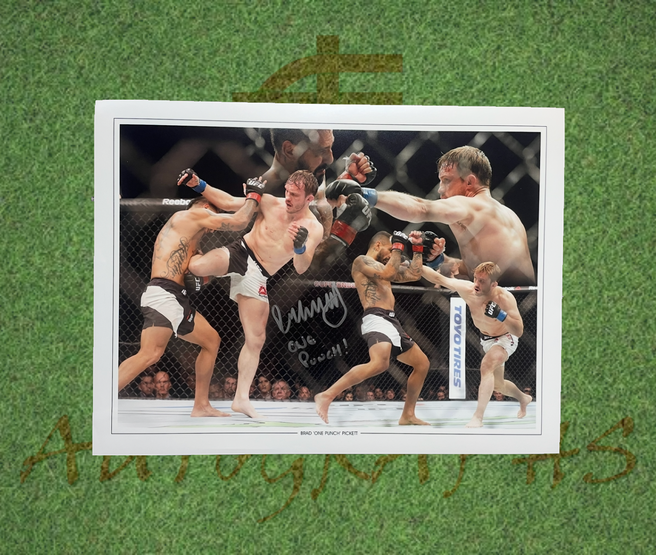 Brad One Punch Pickett Signed MMA 16x12 Photo