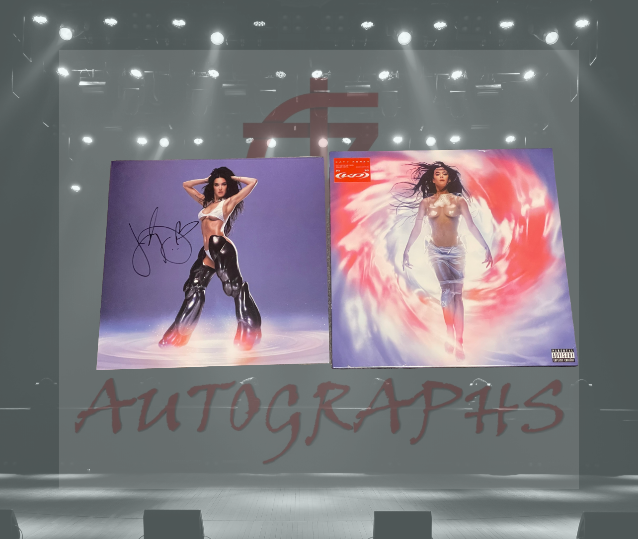 Katy Perry Signed 143 Vinyl and 12x12 Art card