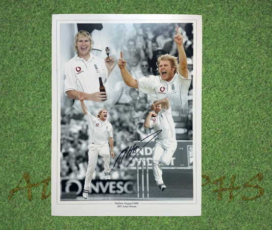 Matthew Hoggard Signed England Cricket 16x12 Photo