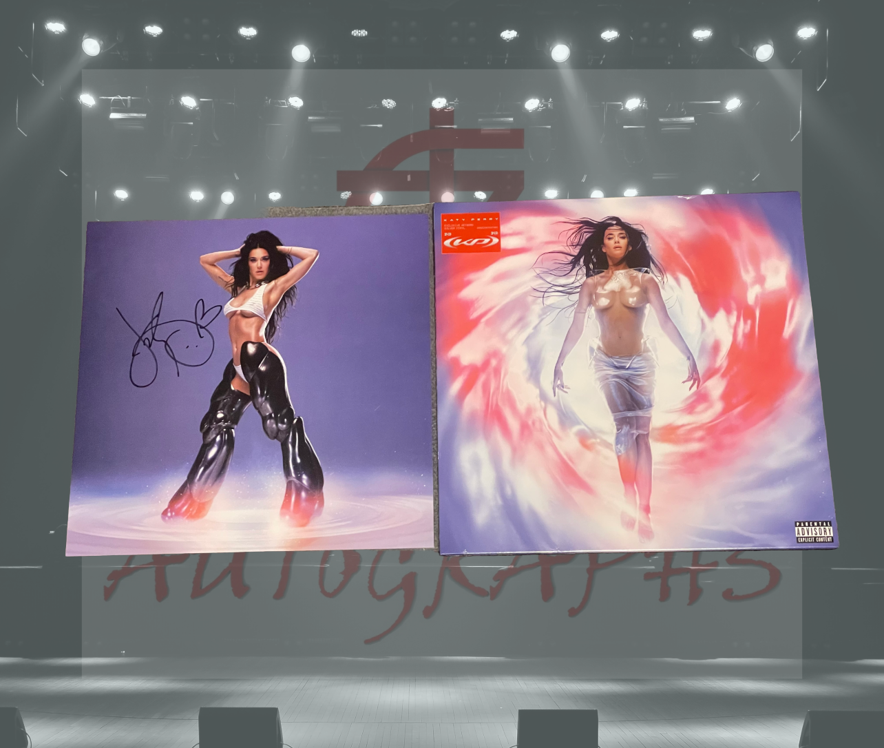 Katy Perry Signed 143 Vinyl and 12x12 Art card