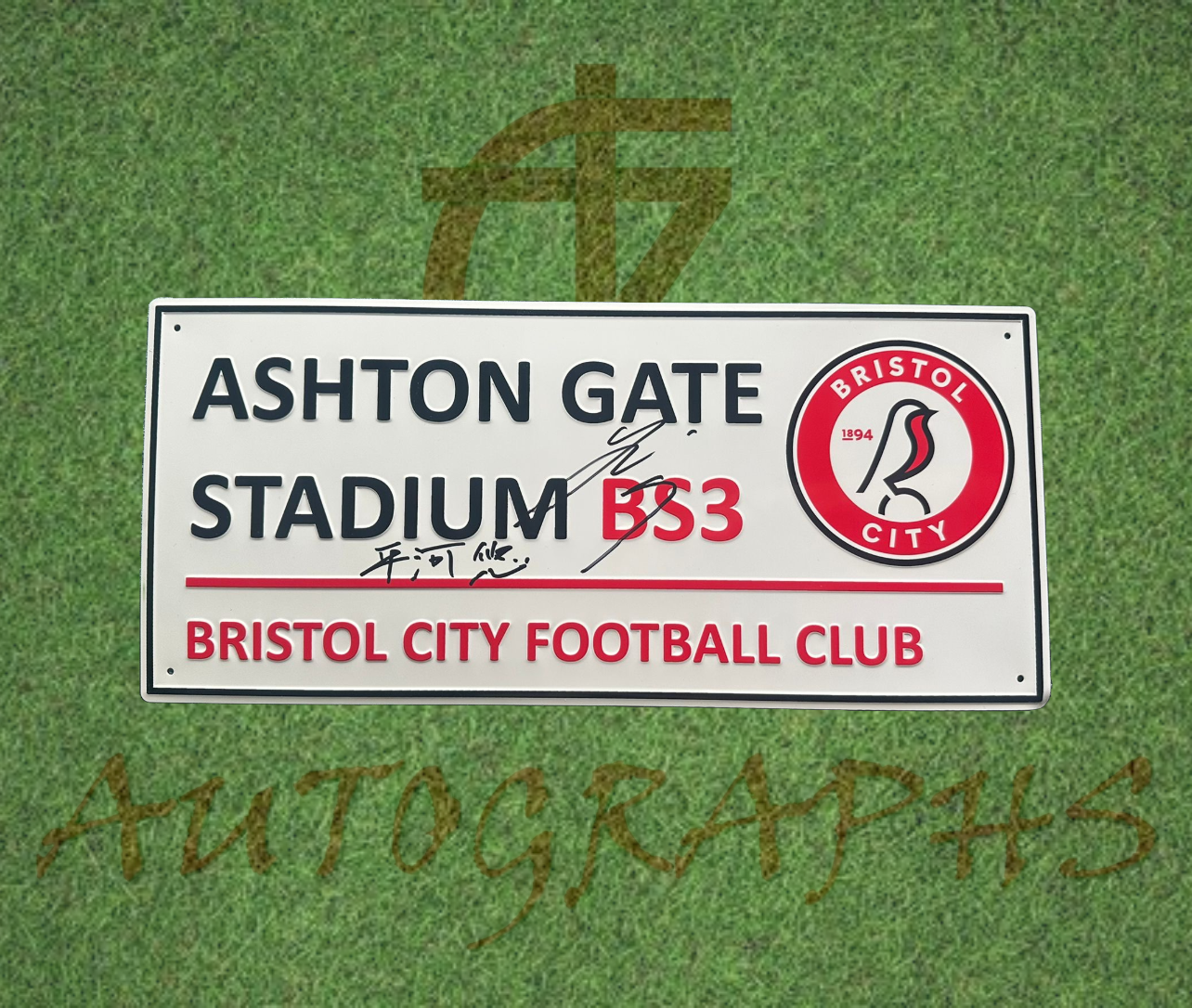 Yu Hirakawa Signed Bristol City Street Sign 平河悠