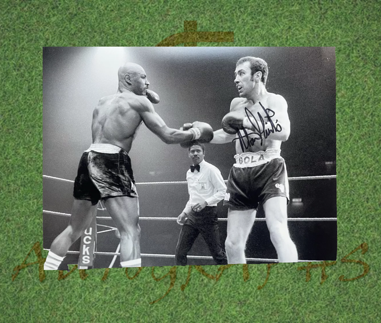 Alan Boom Boom Minter Signed Boxing 16x12 Photo