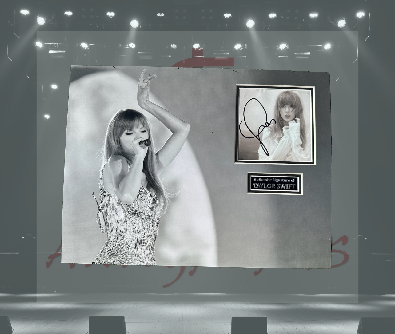 Taylor Swift Signed Mounted Display Presentation