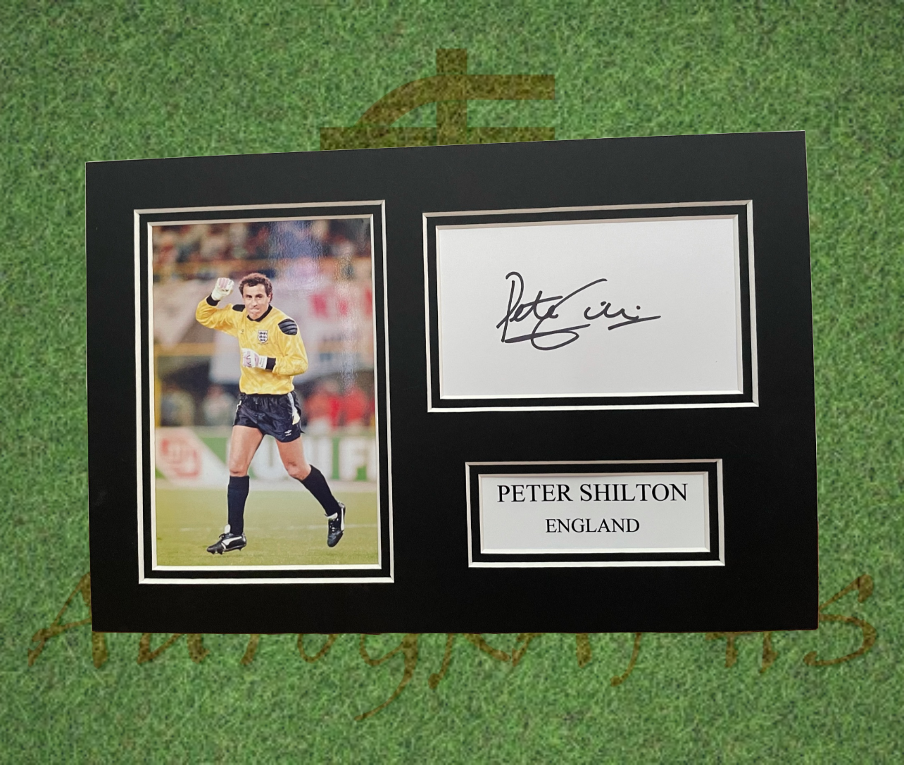 Peter Shilton Signed England Football Presentation Display Mount