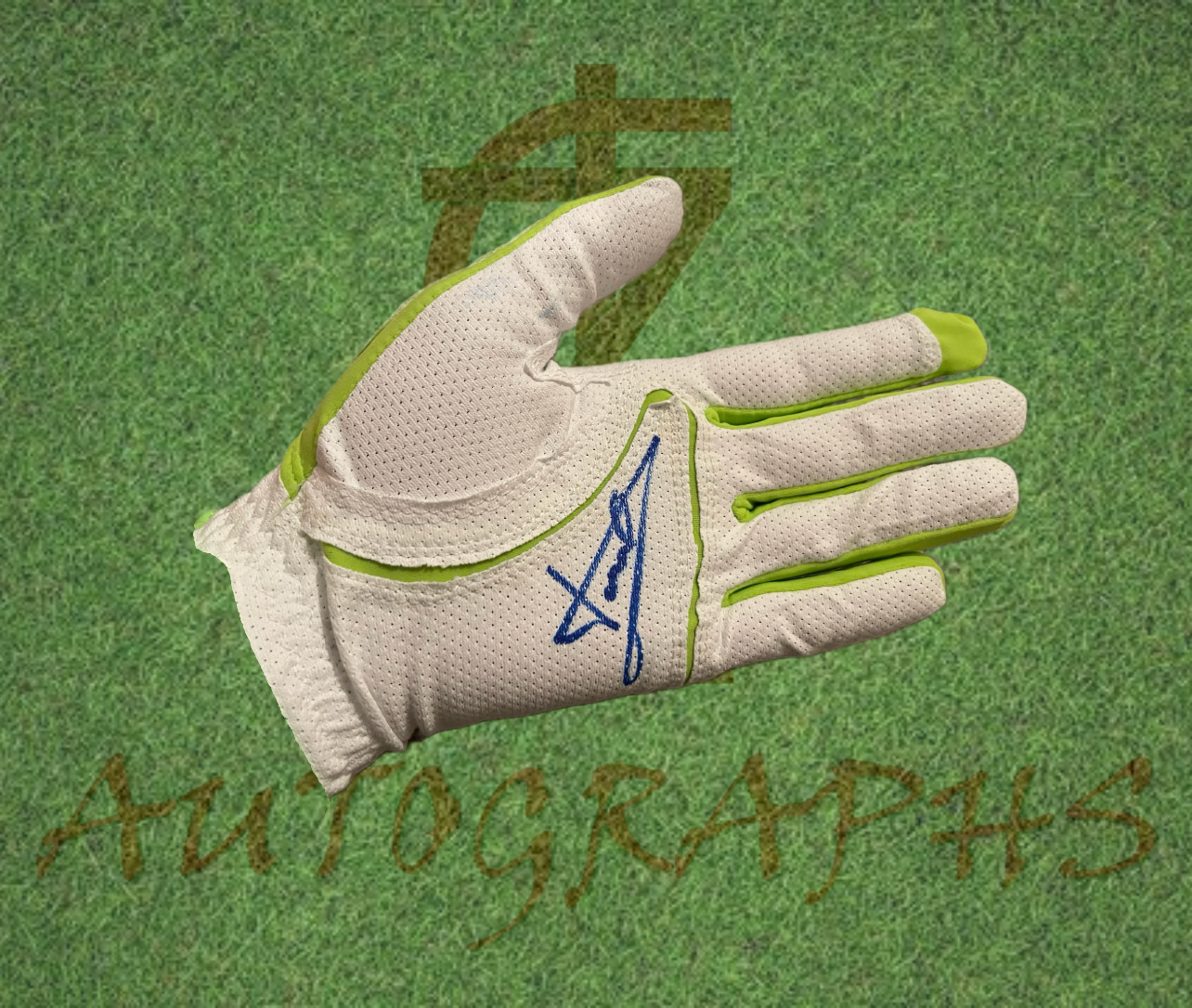 Luke Donald Signed Golf Glove