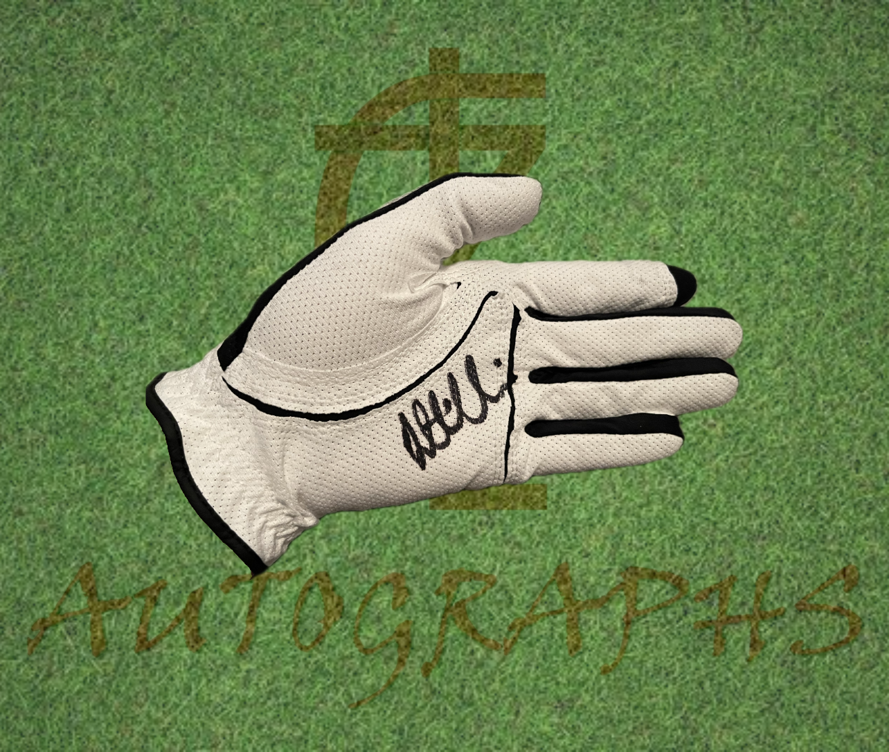 Daniel Hillier Signed Golf Glove