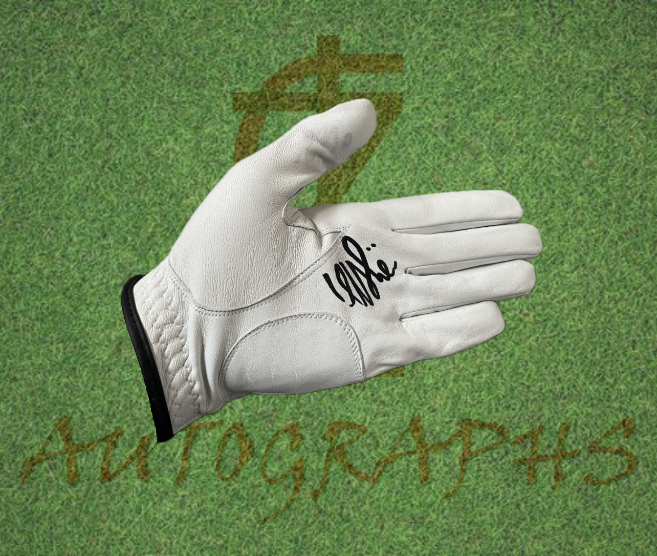 Edoardo Molinari Signed Golf Glove