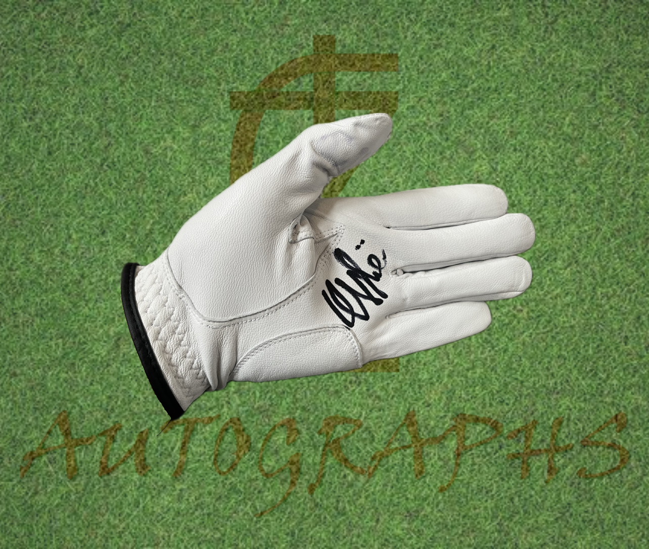 Edoardo Molinari Signed Golf Glove