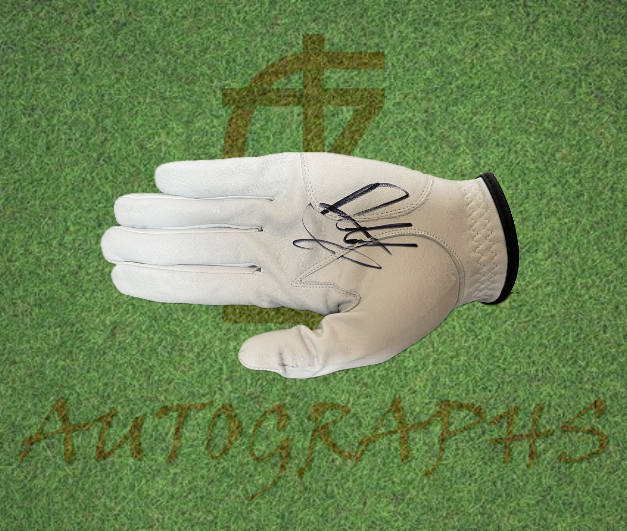 Francesco Molinari Signed Golf Glove