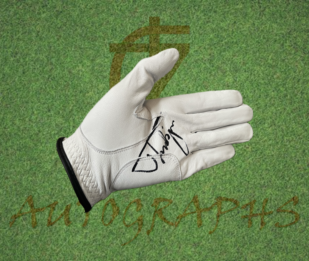 Thorbjorn Olesen Signed Golf Glove