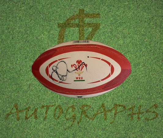 Shane Williams Signed Wales Mini Rugby Ball