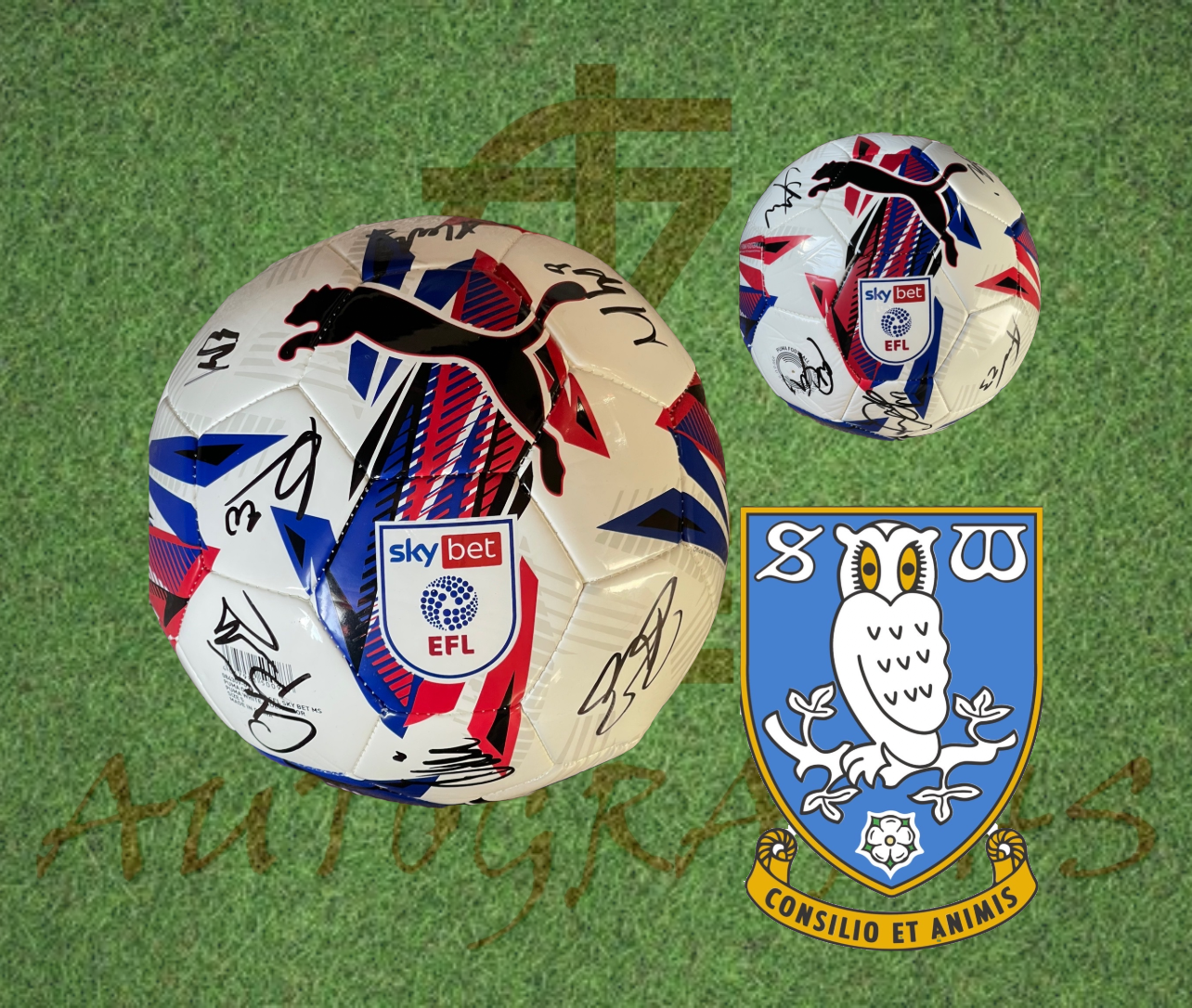 Sheffield Wednesday Signed Replica EFL Football