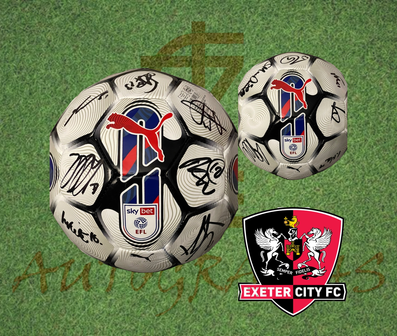 Exeter City Signed Replica EFL Football