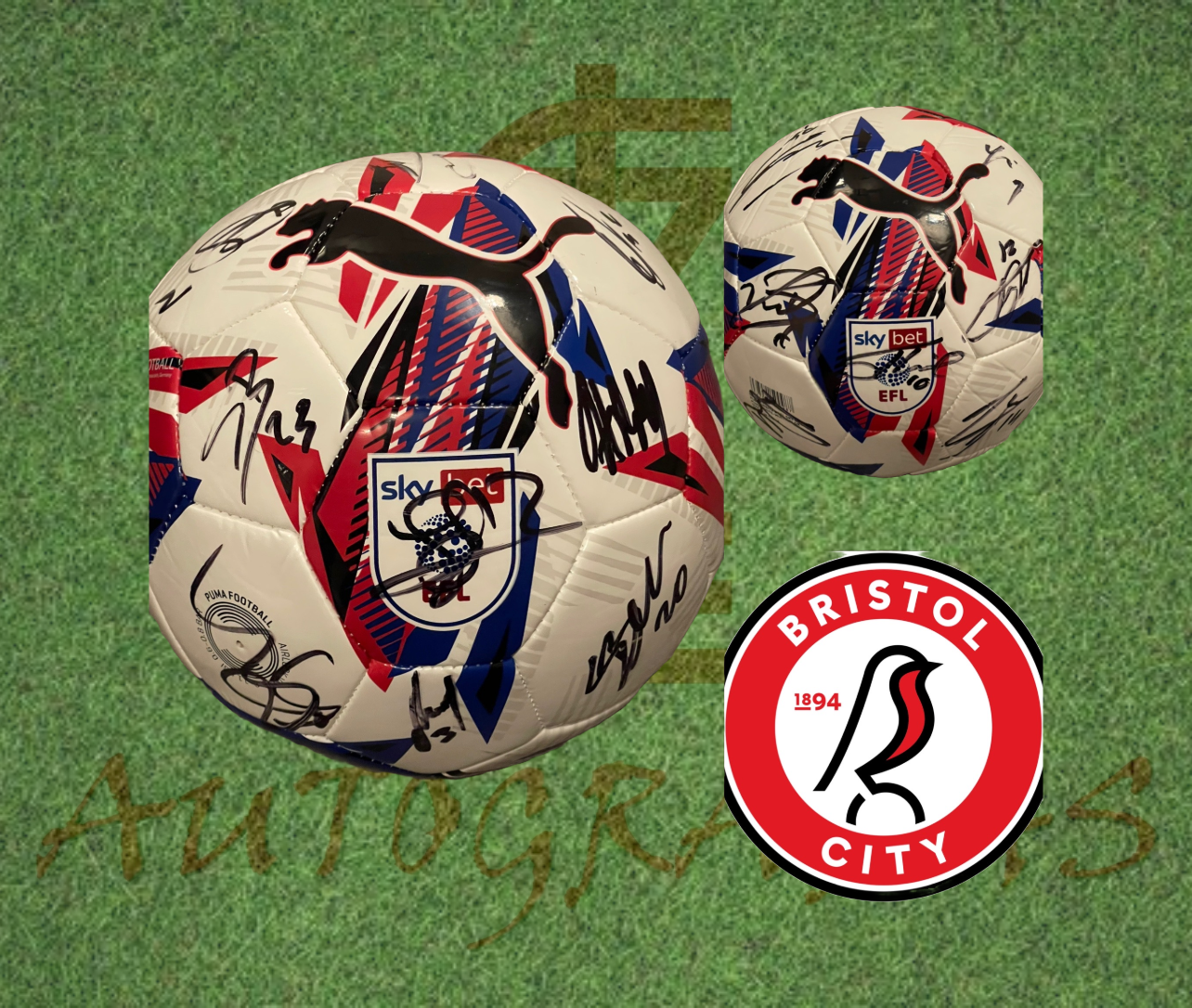 Bristol City Signed Replica EFL Football