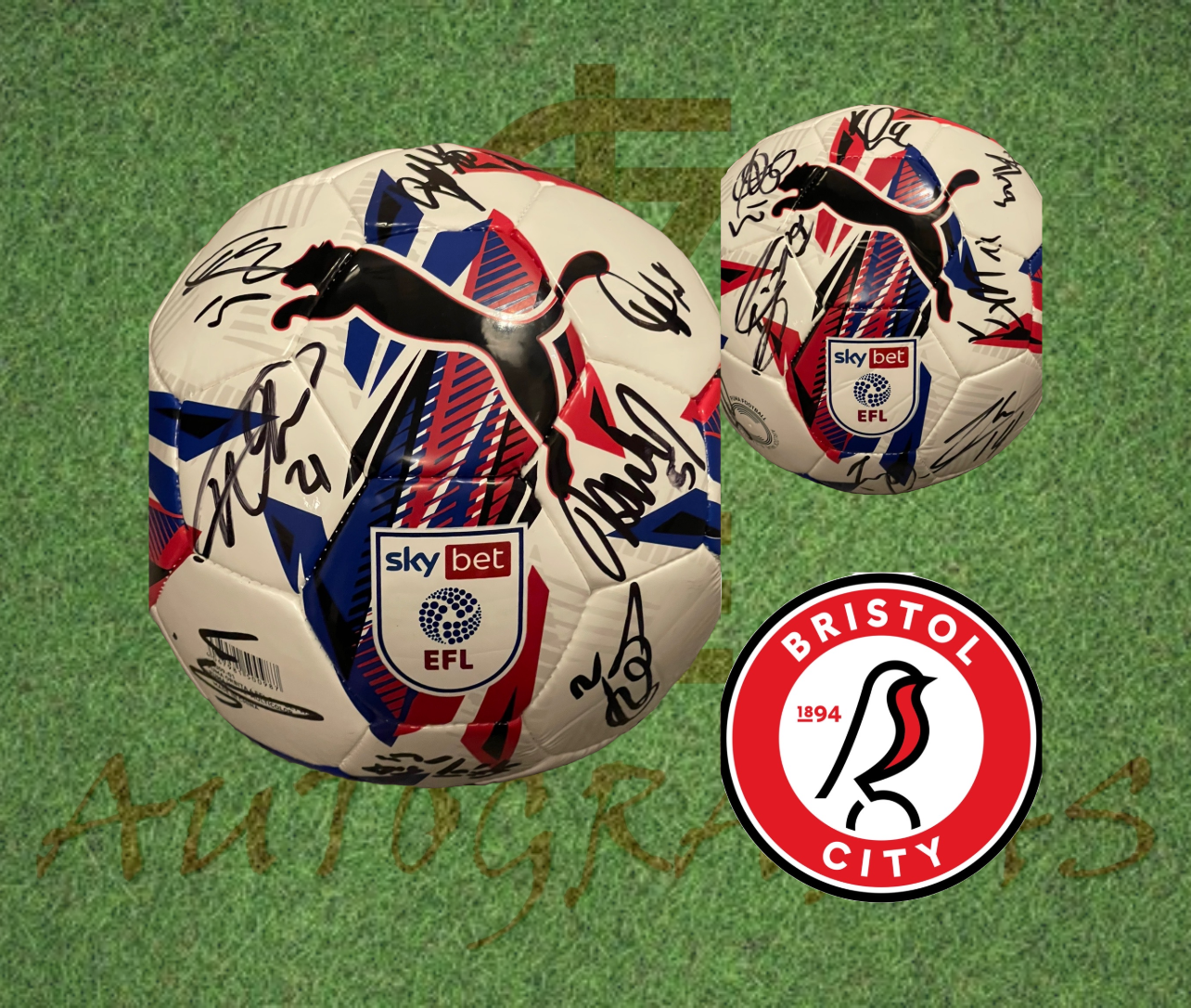 Bristol City Signed Replica EFL Football