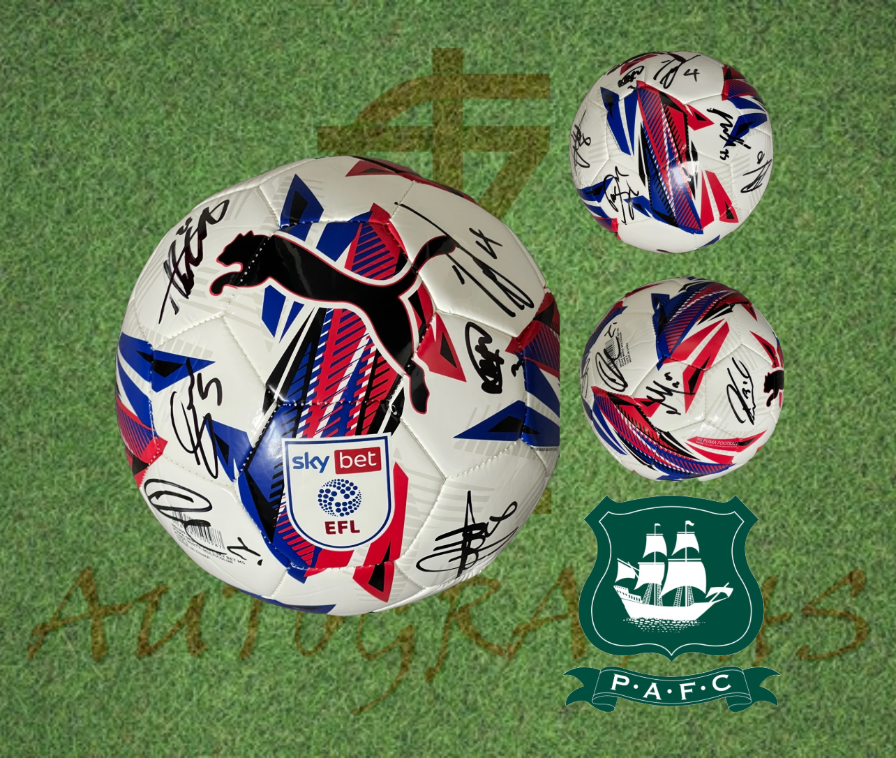 Plymouth Argyle Signed Replica EFL Football